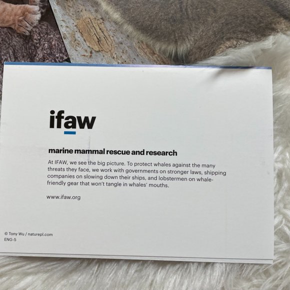 20 Assorted Cards Wild Animal blank inside - Picture 2 of 15